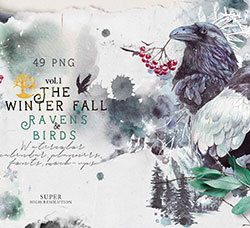 49张高清背景透明的北欧风水墨花鸟PNG图片：Ravens & birds vol.1